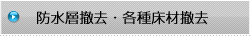 �h���w�P���E�e�폰�ޓP��